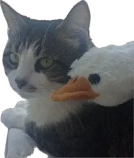 🪿 emoji Яша🐈 by @v_froll Telegram sticker 5 of 38