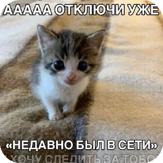 🐱 emoji мили кити :³ @SoyBite Telegram sticker 5 of 50