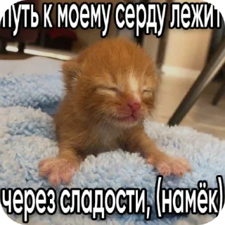 🐱 emoji мили кити :³ @SoyBite Telegram sticker 14 of 50