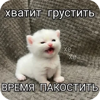 🐱 emoji мили кити :³ @SoyBite Telegram sticker 6 of 50