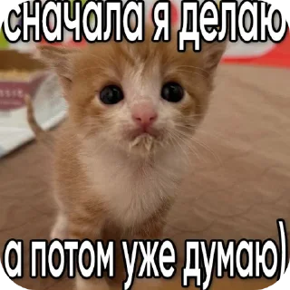 🐱 emoji мили кити :³ @SoyBite Telegram sticker 15 of 50
