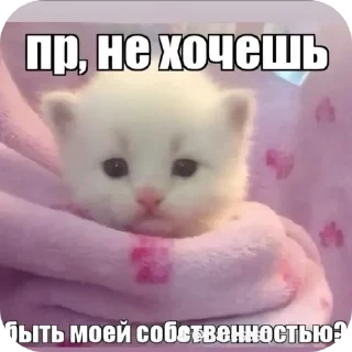 🐱 emoji мили кити :³ @SoyBite Telegram sticker 7 of 50