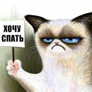 🌟 emoji мої стікери Telegram sticker 18 of 120