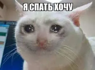 🌟 emoji мої стікери Telegram sticker 19 of 120