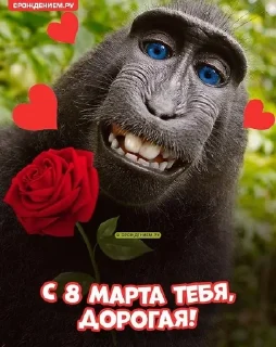 🌟 emoji 8 марта Telegram sticker 8 of 12