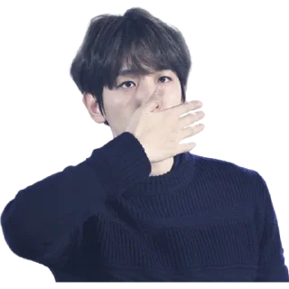 🤭 emoji @jonafzan EXO Telegram sticker 14 of 77