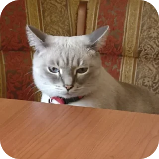 Sticker from Религия Майкла