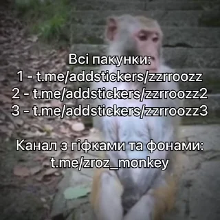 Sticker from зроз 3 @zroz_monkey