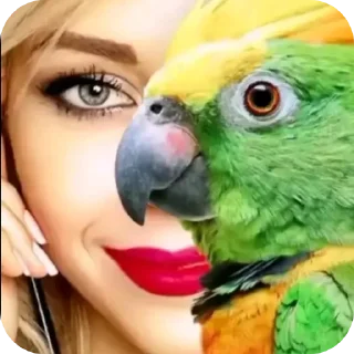 🦜 emoji што Telegram sticker 20 of 46