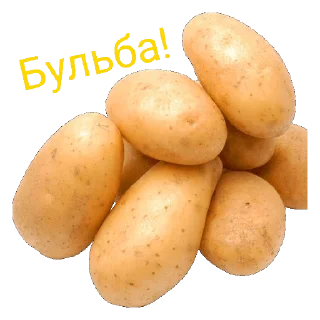 🥔 emoji Лукашенко молодец! Telegram sticker 9 of 19