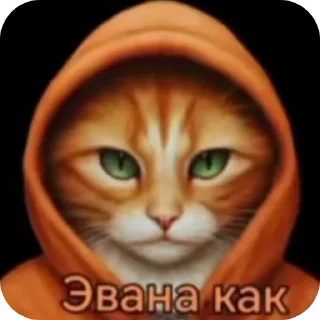 🐱 emoji Mem-Cat Telegram sticker 16 of 32