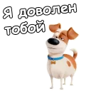 Sticker from @animesticks :: Тайная жизнь домашних животных