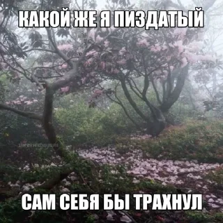 🌟 emoji Щп вхитееее Telegram sticker 24 of 50
