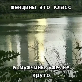 🌟 emoji Щп вхитееее Telegram sticker 12 of 50