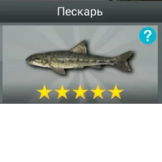 Sticker from Мои стикеры