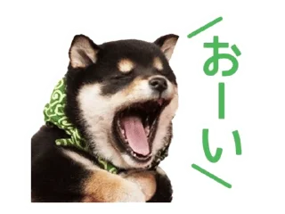 🌟 emoji Shiba Inu 🐾 Telegram sticker 12 of 110