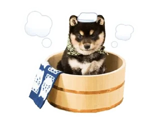 🌟 emoji Shiba Inu 🐾 Telegram sticker 17 of 110