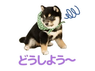 🌟 emoji Shiba Inu 🐾 Telegram sticker 23 of 110