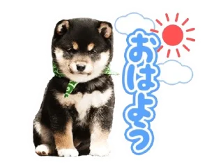 🌟 emoji Shiba Inu 🐾 Telegram sticker 13 of 110