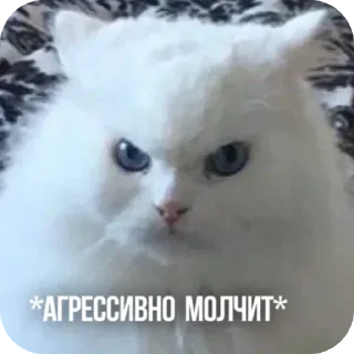 😠 emoji котики Telegram sticker 17 of 55