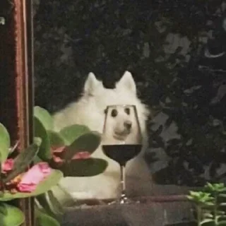 🟡 emoji ыыыыыыыыыыыыыыыыыыы Telegram sticker 7 of 49