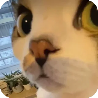 🫥 emoji The first Telegram sticker 14 of 67