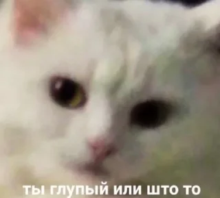 🤨 emoji для важных переговоров Telegram sticker 18 of 120