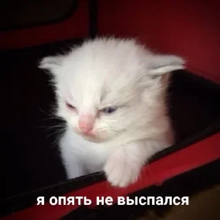 ☹️ emoji для важных переговоров Telegram sticker 20 of 120