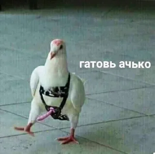 😘 emoji для важных переговоров Telegram sticker 19 of 120