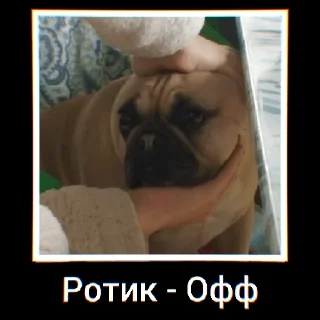 🤐 emoji ГОМАШЕЧНАЯ ВЫРЕЗКА Telegram sticker 13 of 50