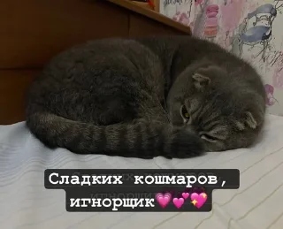 👻 emoji Бонстер Telegram sticker 5 of 25