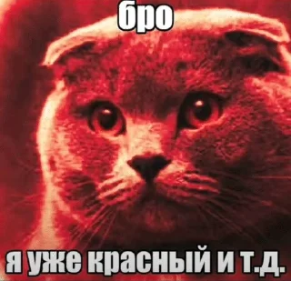 😡 emoji я про че (by dpdpdpxlls) Telegram sticker 20 of 98