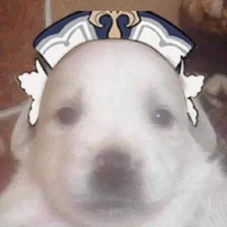 🌟 emoji Посмейтесь над геншин by @gihs Telegram sticker 23 of 23