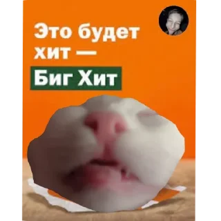 🐱 emoji STRA1KER MILKA https://t.me/STRA1KER_LOL Telegram sticker 5 of 43