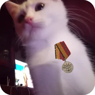 🐱 emoji STRA1KER MILKA https://t.me/STRA1KER_LOL Telegram sticker 10 of 43