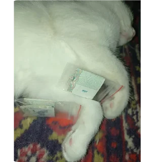 🐱 emoji STRA1KER MILKA https://t.me/STRA1KER_LOL Telegram sticker 20 of 43