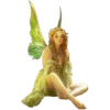 🧚 emoji @aestheticaemoji goblincore Telegram sticker 6 of 147
