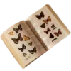 📖 emoji @aestheticaemoji goblincore Telegram sticker 21 of 147