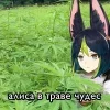 🤩 emoji Тигнари @TgEmodziBot Telegram sticker 23 of 41