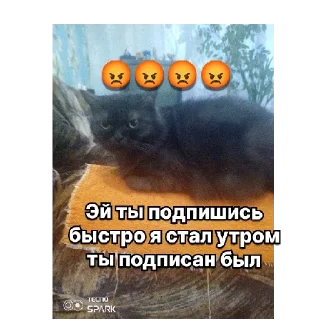 Sticker from Артём