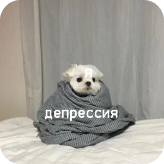 🐶 emoji Amor❤️‍🔥 Telegram sticker 14 of 24