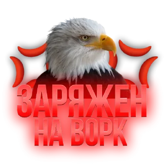 💥 emoji NoMercyTeam 🦅 Telegram sticker 6 of 10