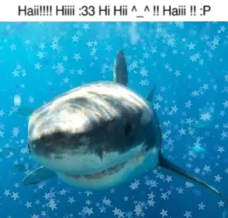 буль буль sticker 2