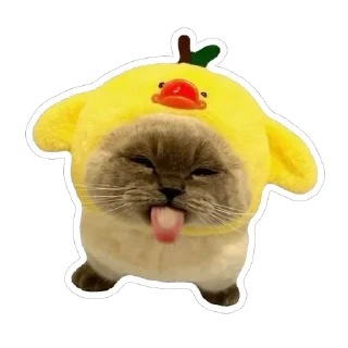 😝 emoji котёнки <3 Telegram sticker 18 of 39