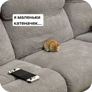 🐱 emoji котёнки <3 Telegram sticker 23 of 39