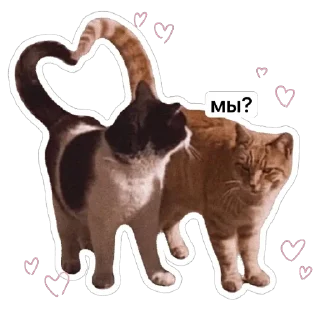 🧡 emoji котёнки <3 Telegram sticker 1 of 39