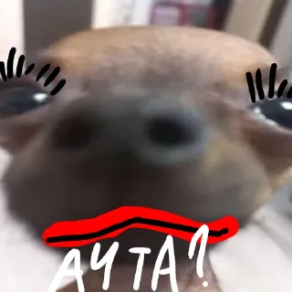 👅 emoji Milka Telegram sticker 7 of 11