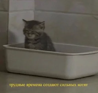 Sticker from Тра-ля-ля мы приехали