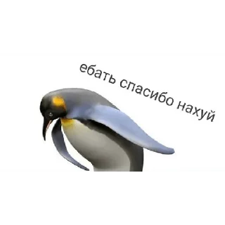Sticker from Хех