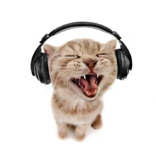😀 emoji Хс чо Telegram sticker 3 of 43